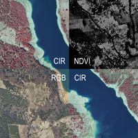 Different image overviews depending on acquired spectral channels